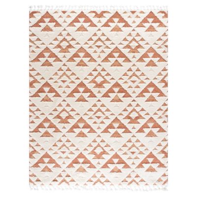 Tasrano Area Rug
