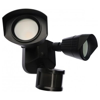 LED Security Light