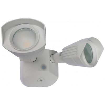 LED Security Light