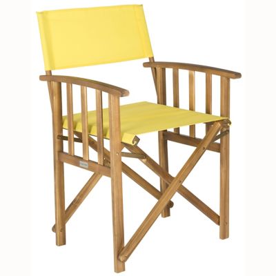 Acevedo Outdoor Director Arm Chair, Set of 2