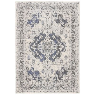 Montego Distressed Medallion Area Rug