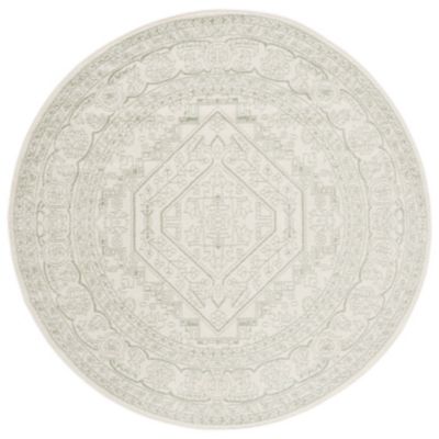 Briarpoint Distressed Medallion Area Rug