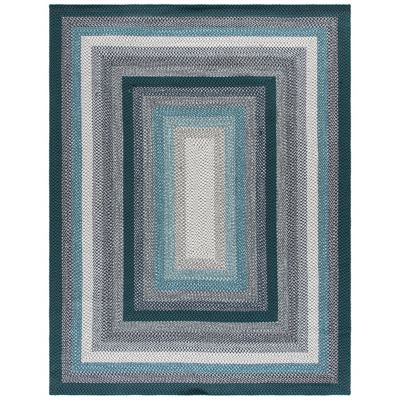 Braided Cove Braided Stripe Area Rug