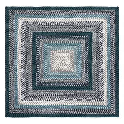 Braided Cove Braided Stripe Area Rug