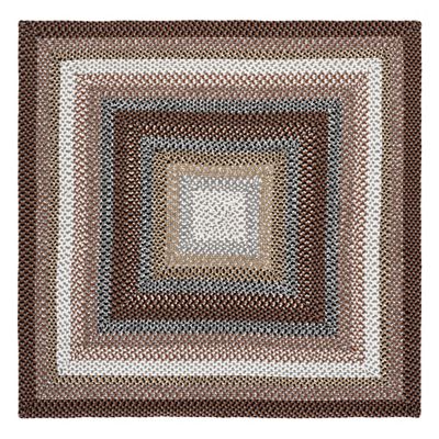 Braided Cove Braided Stripe Area Rug