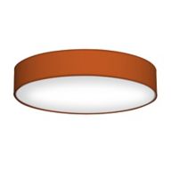 Orange Flush Mount Ceiling Lights