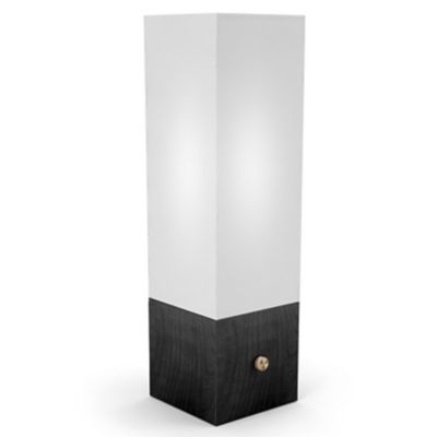 Art Table Lamp