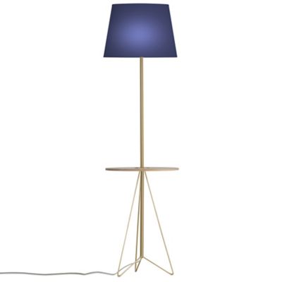 Asher Floor Lamp with Table