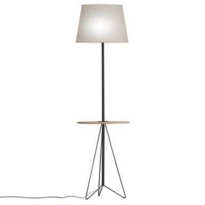 Asher Floor Lamp with Table
