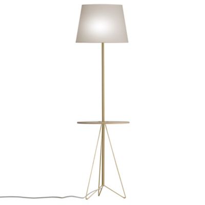 Asher Floor Lamp with Table