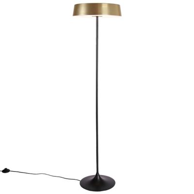 China LED Floor Lamp