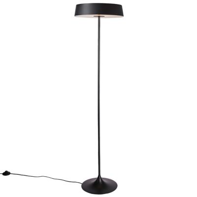 China LED Floor Lamp