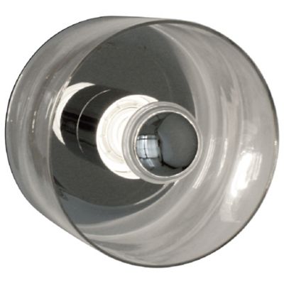 Snow Flake Wall / Ceiling Light