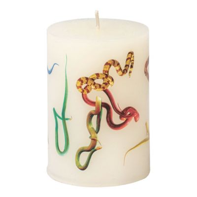 Snakes Candle