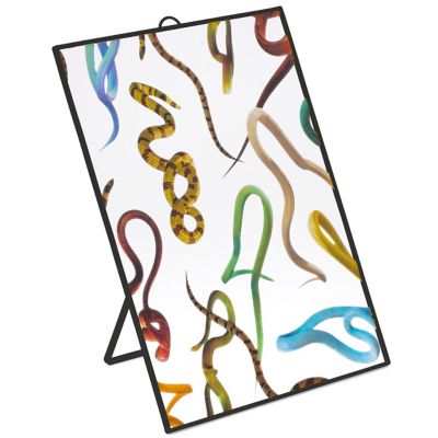 Snakes Wall Mirror