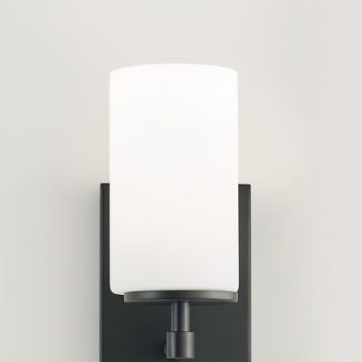 Alturas Collection One Light Wall / Bath Sconce