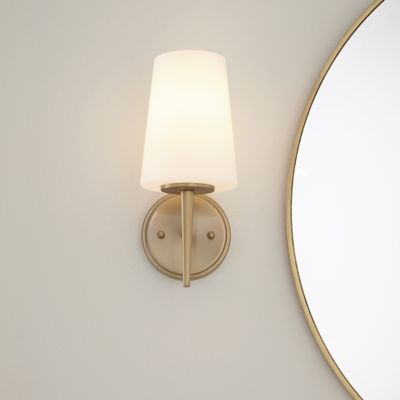 Driscoll Collection One Light Wall / Bath Sconce