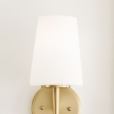 Driscoll Collection One Light Wall / Bath Sconce