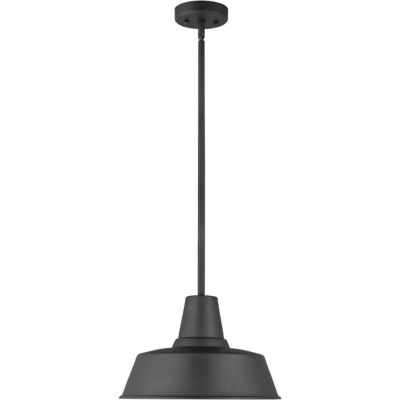 Barn Light Outdoor Pendant