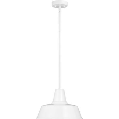 Barn Light Outdoor Pendant