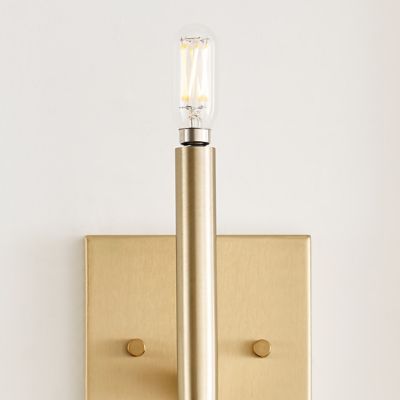 Vector Wall Sconce