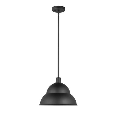 Barn Light Dome Outdoor Pendant