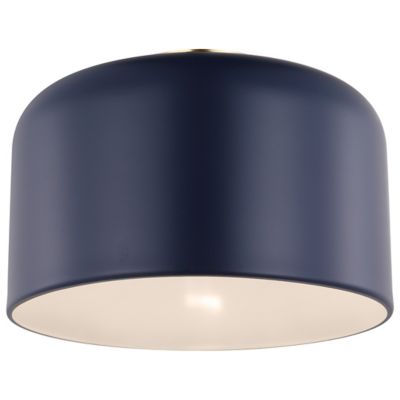 Navy flush mount deals light