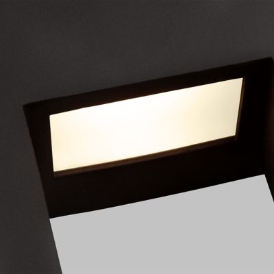 Testa LED Outdoor Wall Sconce