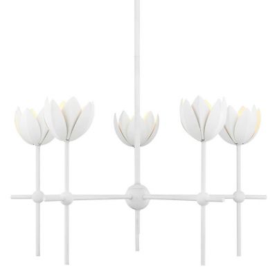 Calix Chandelier