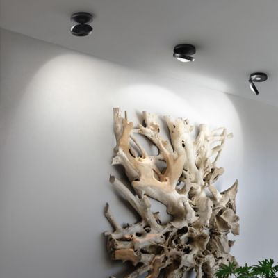 Nautilus LED Wall Sconce