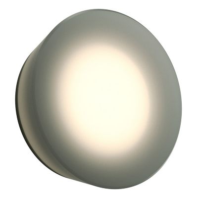 Mist Round LED Wall Sconce/Flushmount