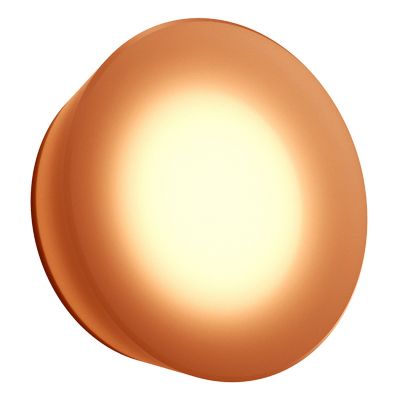 Mist Round LED Wall Sconce/Flushmount (Amber) - OPEN BOX