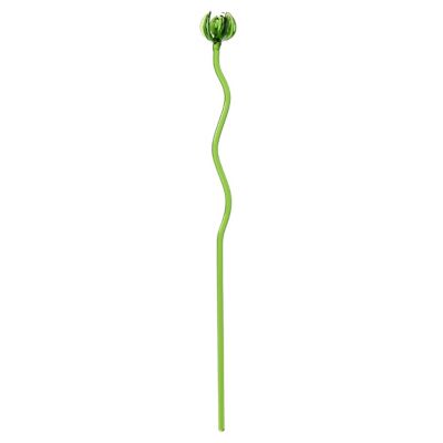 Josephine 01 Poppy Flower