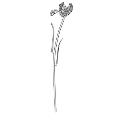 Josephine Tulip Flower