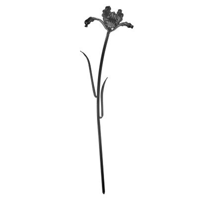 Josephine Tulip Flower
