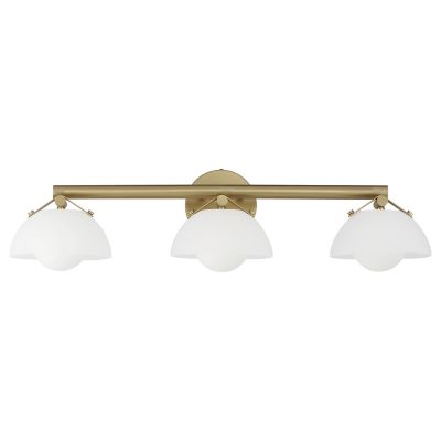Domain Vanity Light