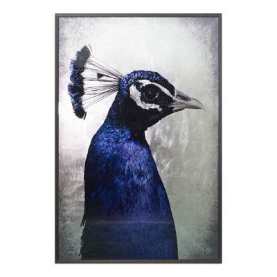The Peacock Framed Art