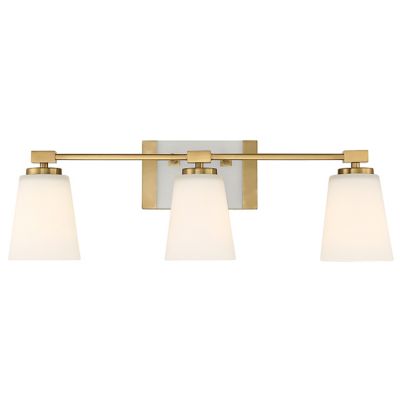 Darby Vanity Light