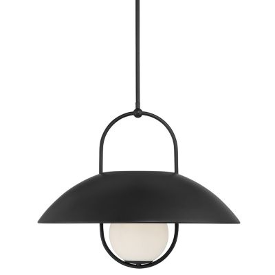 Lehigh Pendant
