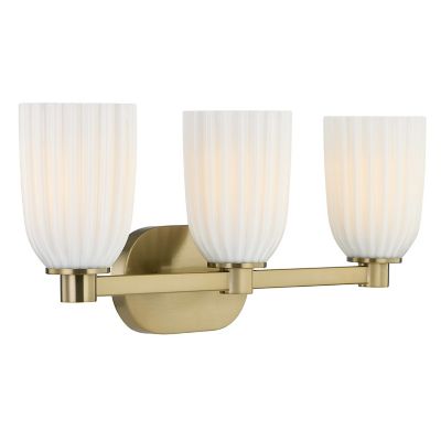 Baldwin Vanity Light