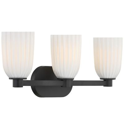 Baldwin Vanity Light