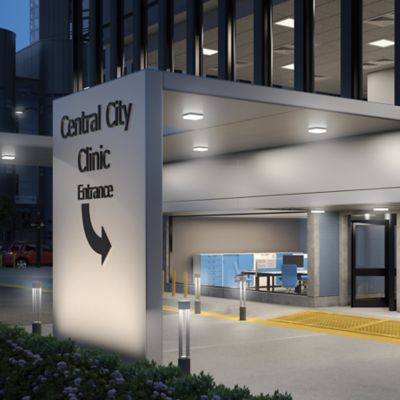 Boxie Outdoor Wall/Ceiling