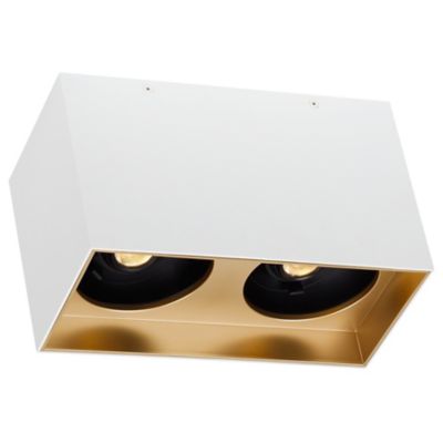 Exo Dual LED Flushmount