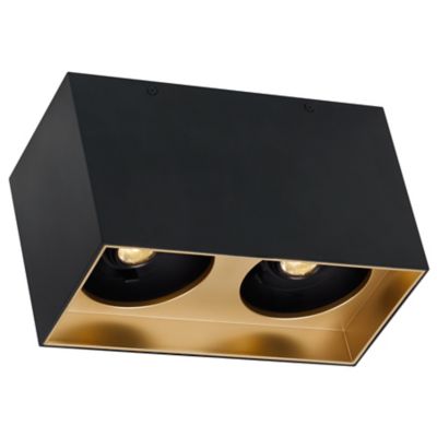 Exo Dual LED Flushmount