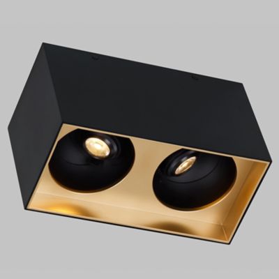 Exo Dual LED Flushmount