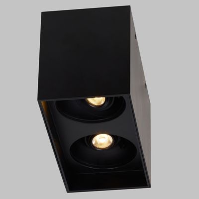 Exo Dual LED Flushmount