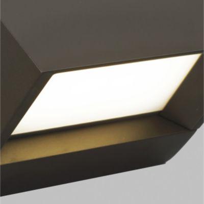 Pitch LED Indoor/Outdoor Wall Sconce