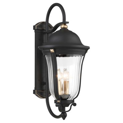 Peale Street Outdoor Wall Sconce