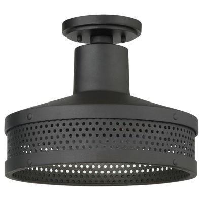 Abalone Point Outdoor Flushmount