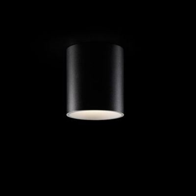 Tuba LED Flushmount